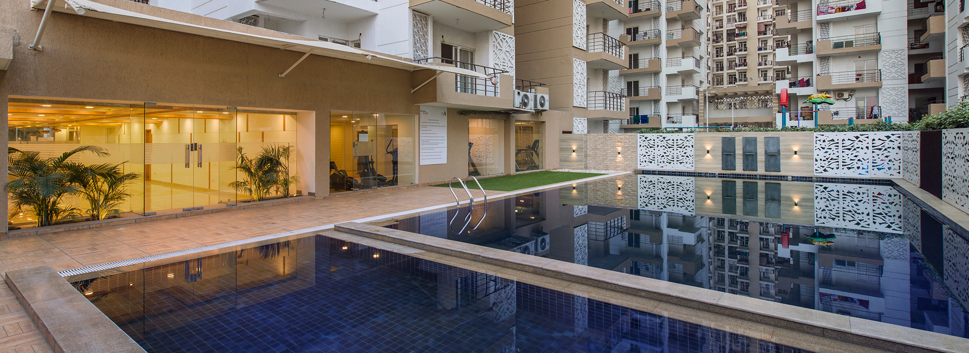 Express Zenith - The Alpha Tower